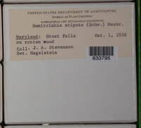 Image Associated With the Occurence